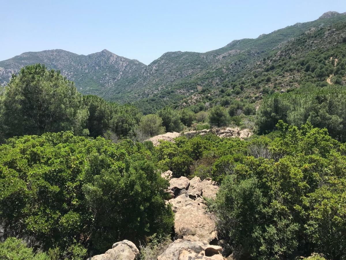 Il Viandante Otel San Teodoro  Dış mekan fotoğraf